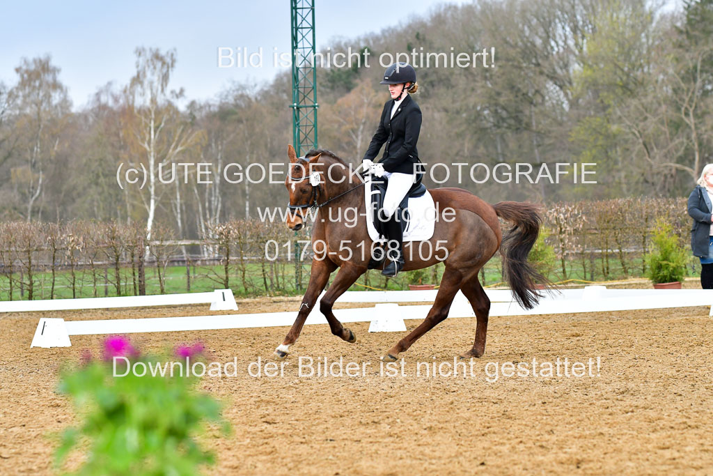 Reitsportzentrum Bremervörde | 170421 Dressurreiter A_404 