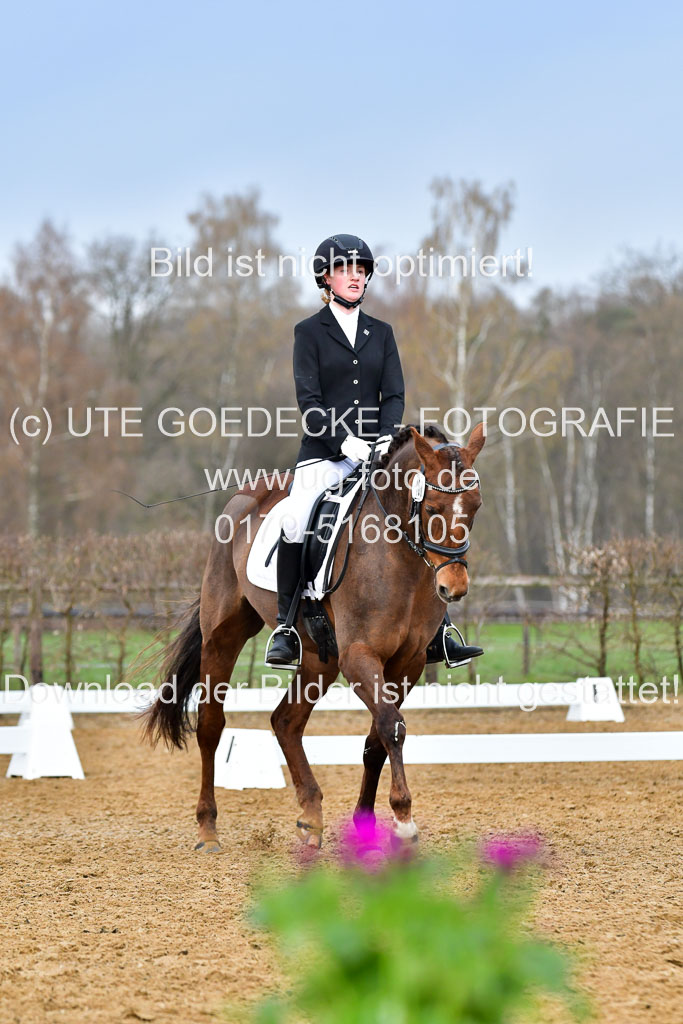Reitsportzentrum Bremervörde | 170421 Dressurreiter A_409 