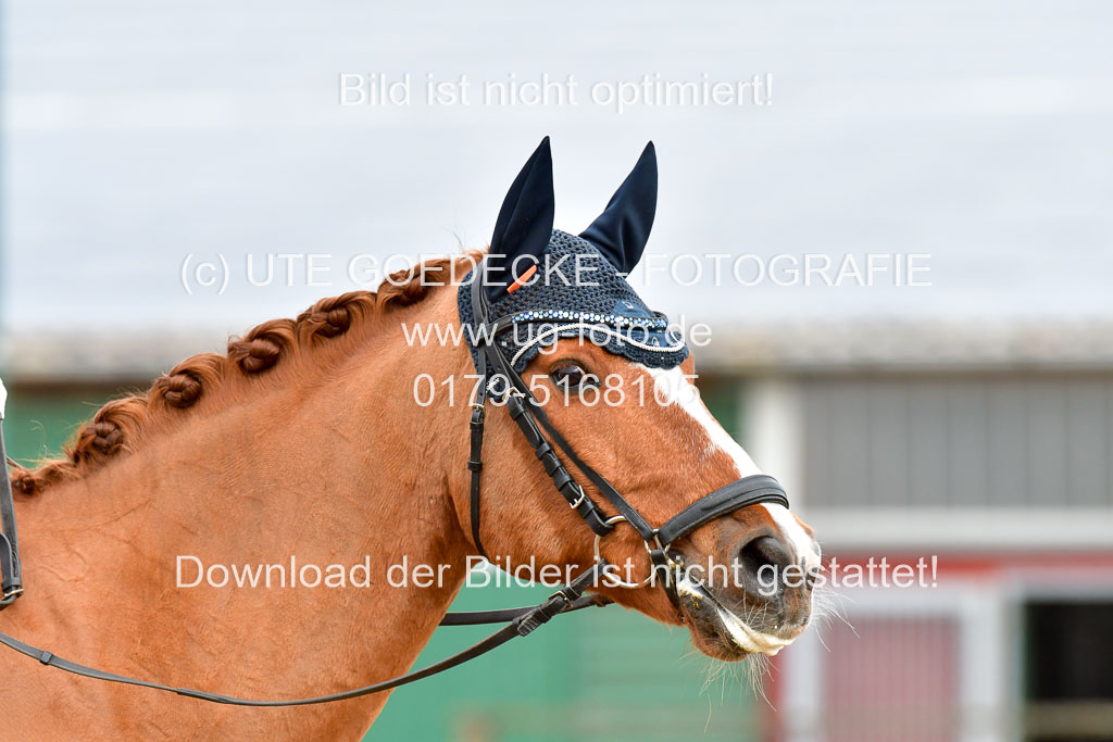 Reitsportzentrum Bremervörde | 170421 Dressurreiter A_415 