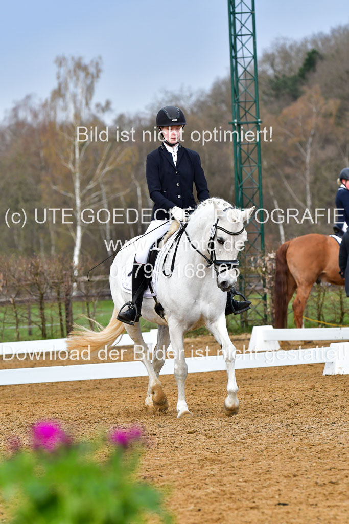 Reitsportzentrum Bremervörde | 170421 Dressurreiter A_418 