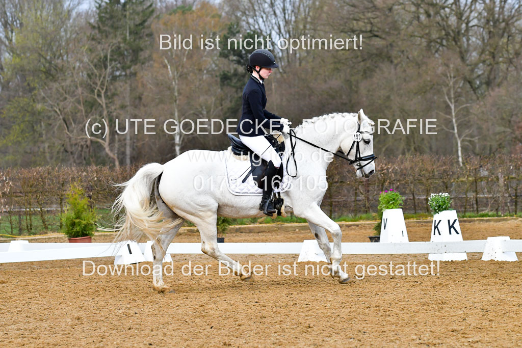 Reitsportzentrum Bremervörde | 170421 Dressurreiter A_427