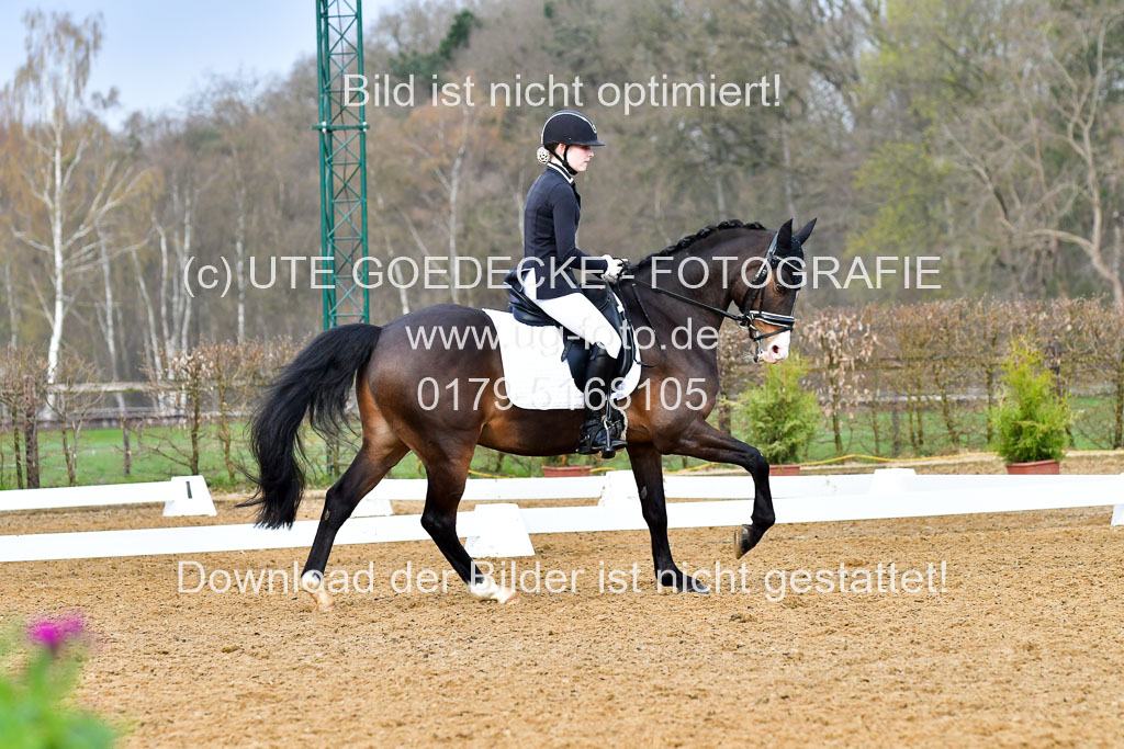Reitsportzentrum Bremervörde | 170421 Dressurreiter A_430