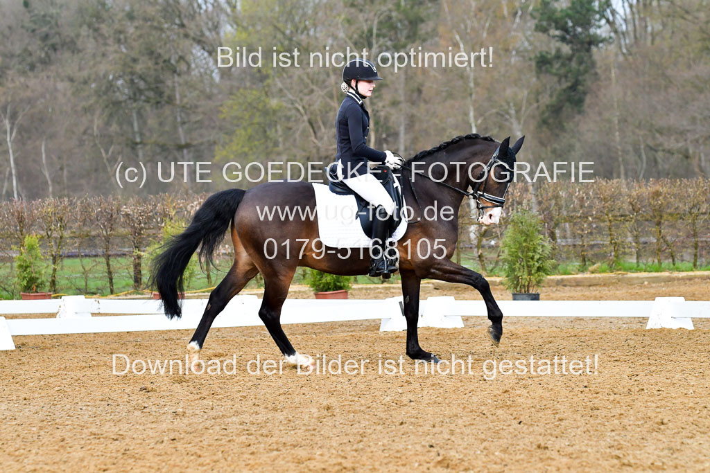 Reitsportzentrum Bremervörde | 170421 Dressurreiter A_431 