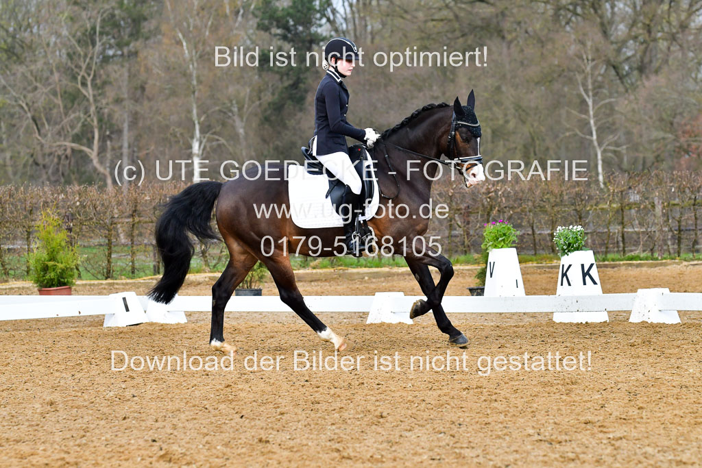 Reitsportzentrum Bremervörde | 170421 Dressurreiter A_432