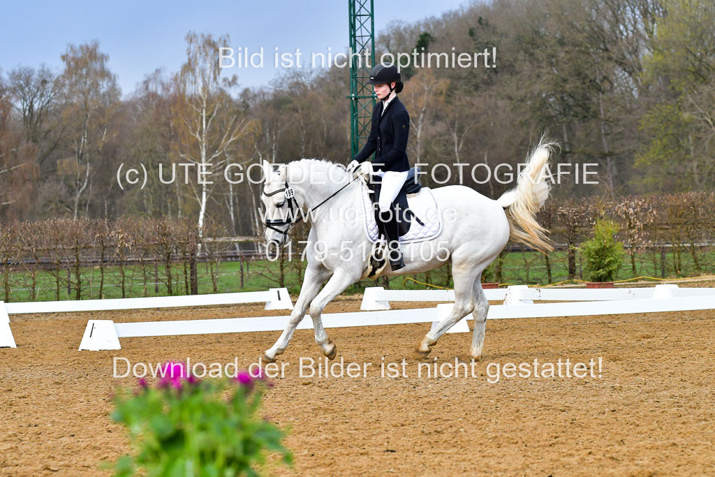Reitsportzentrum Bremervörde | 170421 Dressurreiter A_440