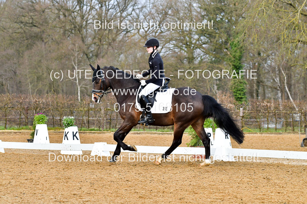 Reitsportzentrum Bremervörde | 170421 Dressurreiter A_442 
