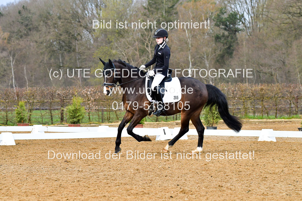 Reitsportzentrum Bremervörde | 170421 Dressurreiter A_445