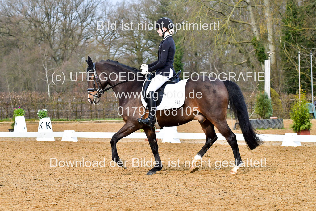 Reitsportzentrum Bremervörde | 170421 Dressurreiter A_448 