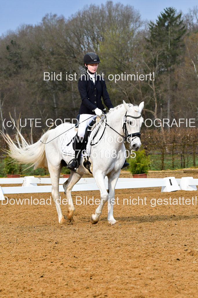 Reitsportzentrum Bremervörde | 170421 Dressurreiter A_449