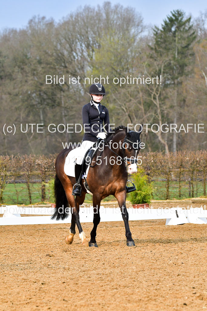 Reitsportzentrum Bremervörde | 170421 Dressurreiter A_450