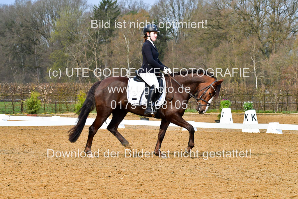 Reitsportzentrum Bremervörde | 170421 Dressurreiter A_453 