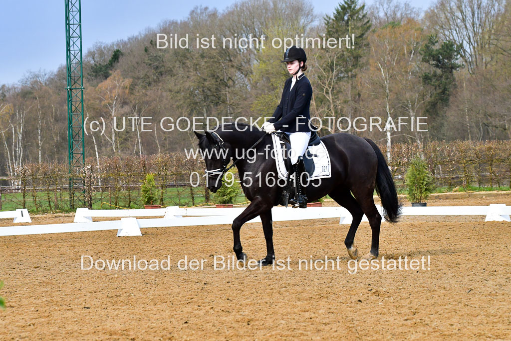 Reitsportzentrum Bremervörde | 170421 Dressurreiter A_455 
