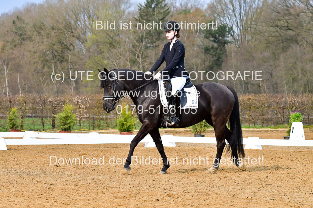 Reitsportzentrum Bremervörde | 170421 Dressurreiter A_457 