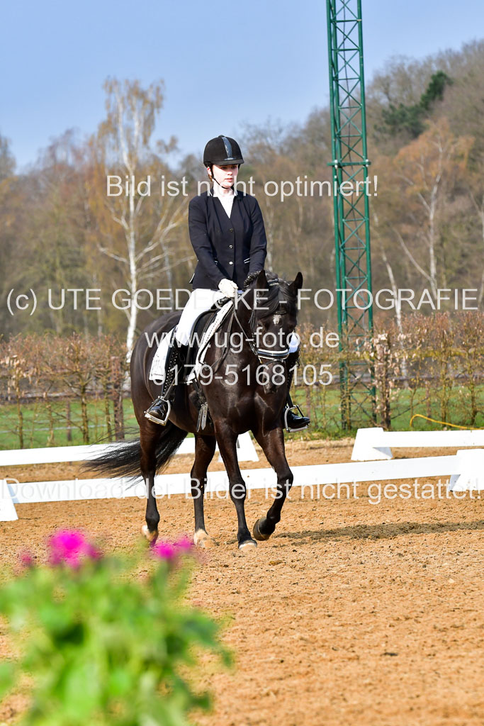 Reitsportzentrum Bremervörde | 170421 Dressurreiter A_458 