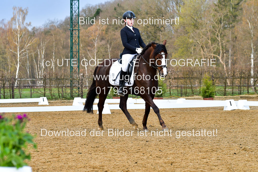 Reitsportzentrum Bremervörde | 170421 Dressurreiter A_462