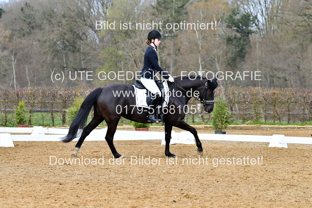 Reitsportzentrum Bremervörde | 170421 Dressurreiter A_463 