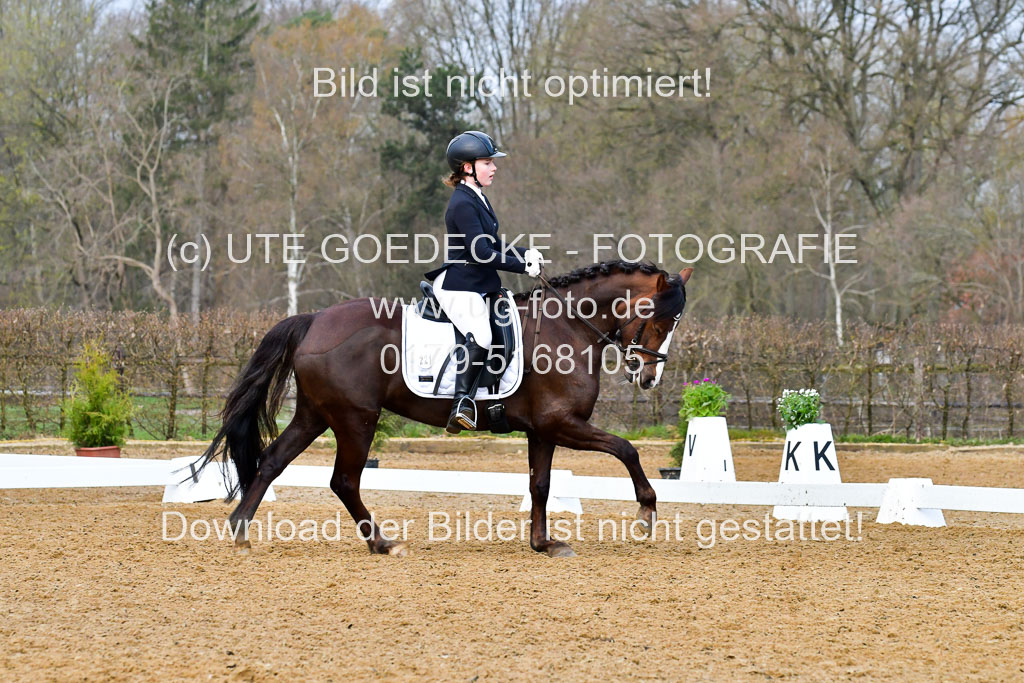 Reitsportzentrum Bremervörde | 170421 Dressurreiter A_465