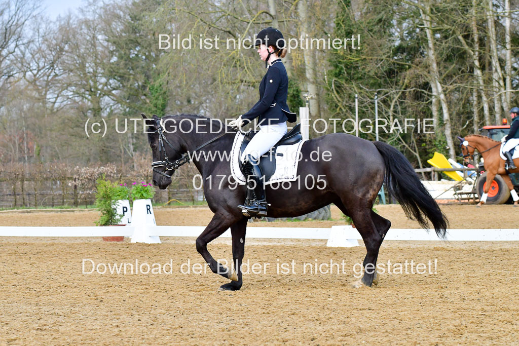 Reitsportzentrum Bremervörde | 170421 Dressurreiter A_473 