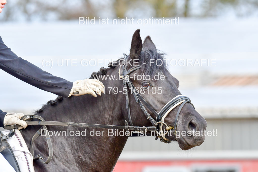 Reitsportzentrum Bremervörde | 170421 Dressurreiter A_479 