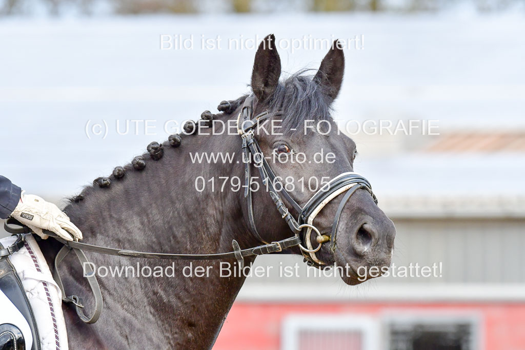 Reitsportzentrum Bremervörde | 170421 Dressurreiter A_480