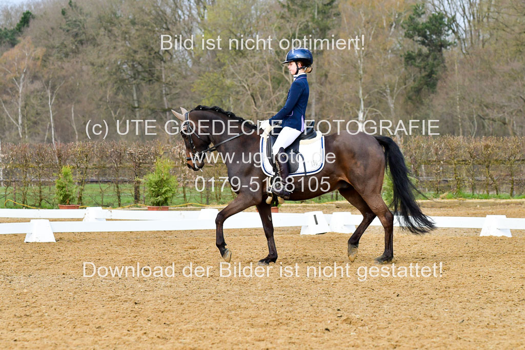 Reitsportzentrum Bremervörde | 170421 Dressurreiter A_483