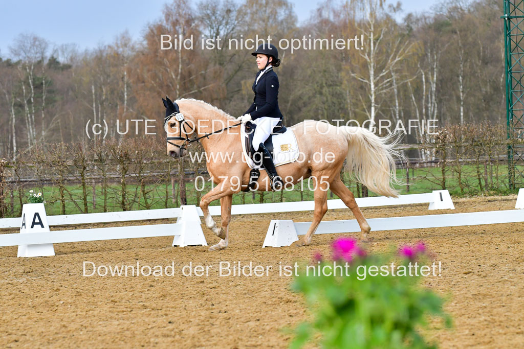 Reitsportzentrum Bremervörde | 170421 Dressurreiter A_484 