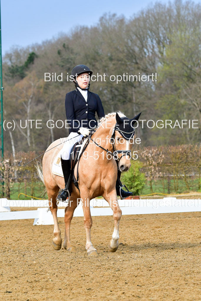 Reitsportzentrum Bremervörde | 170421 Dressurreiter A_487