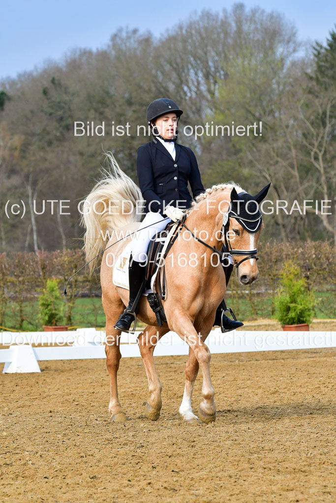 Reitsportzentrum Bremervörde | 170421 Dressurreiter A_488 