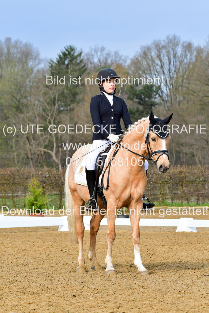 Reitsportzentrum Bremervörde | 170421 Dressurreiter A_492 