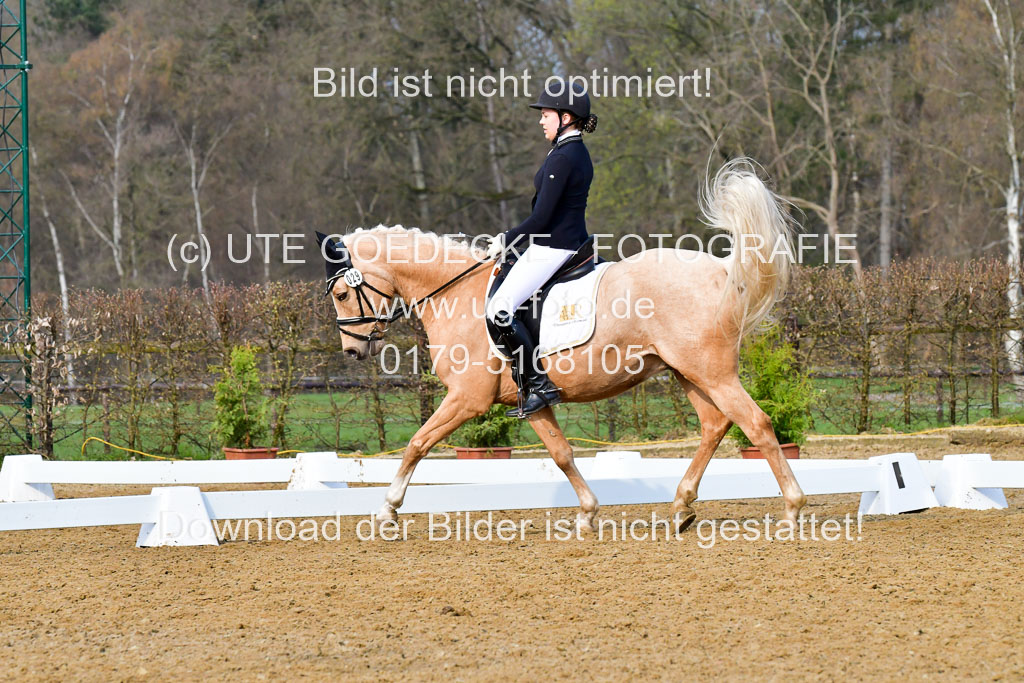 Reitsportzentrum Bremervörde | 170421 Dressurreiter A_493