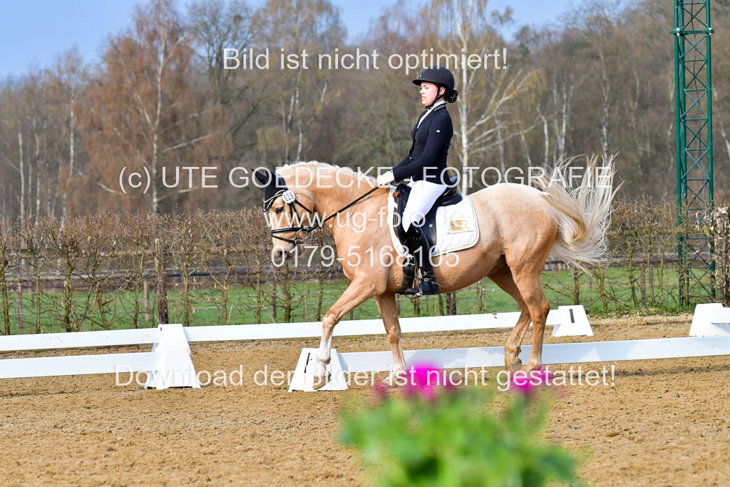 Reitsportzentrum Bremervörde | 170421 Dressurreiter A_494