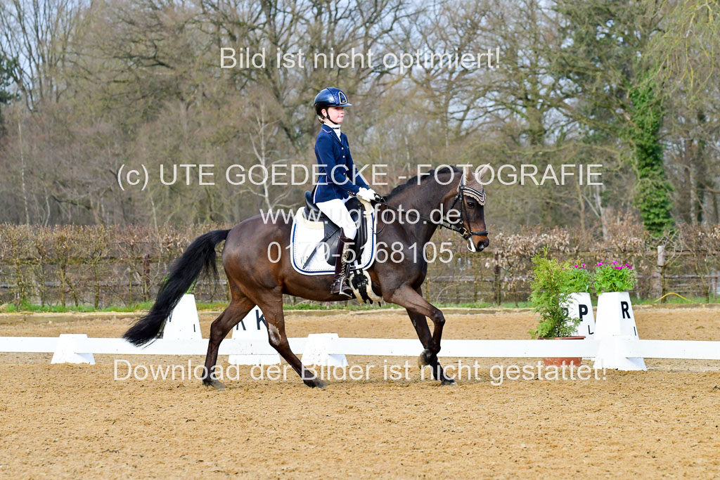 Reitsportzentrum Bremervörde | 170421 Dressurreiter A_495