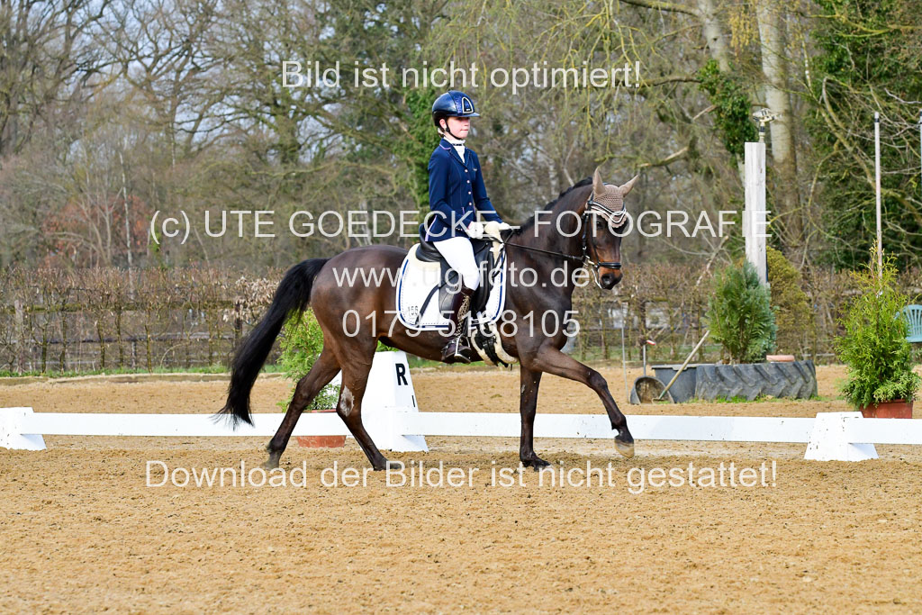 Reitsportzentrum Bremervörde | 170421 Dressurreiter A_497 