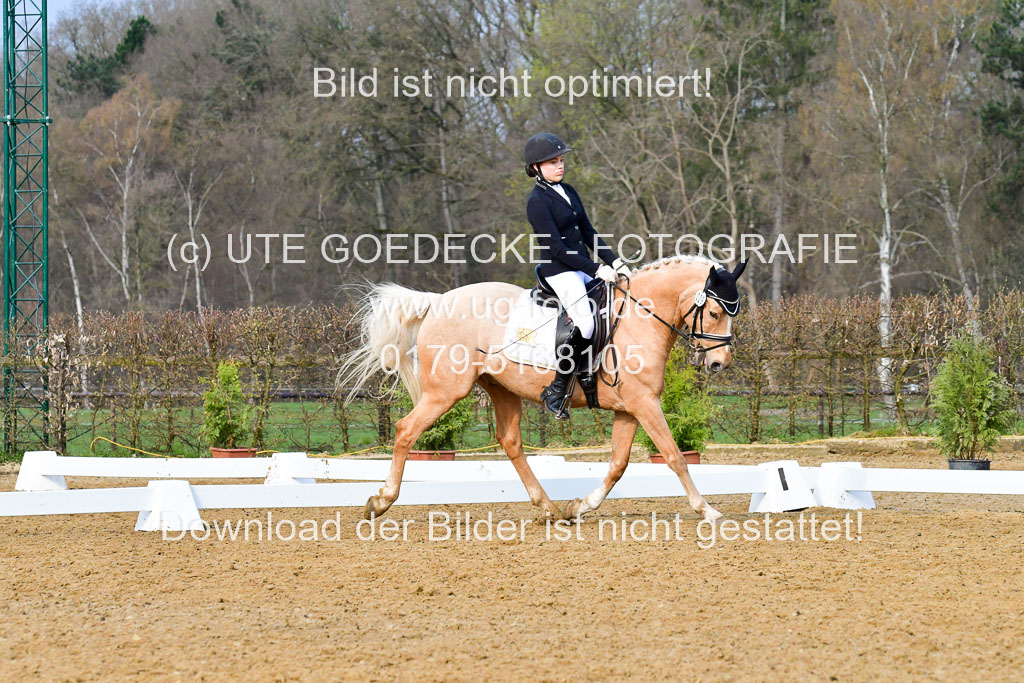 Reitsportzentrum Bremervörde | 170421 Dressurreiter A_498 