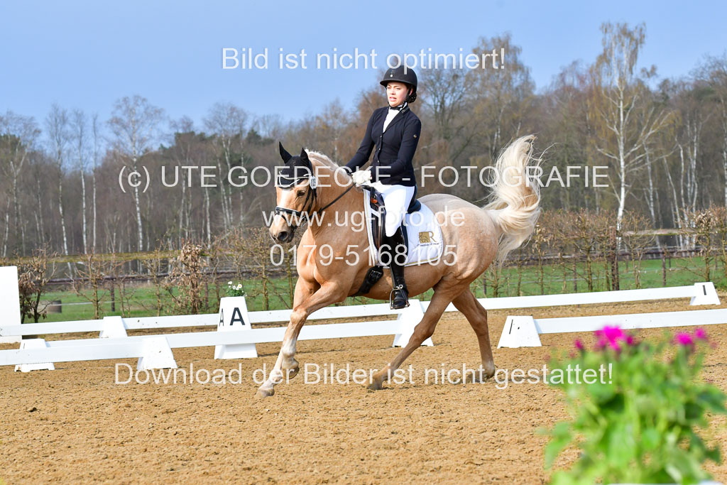 Reitsportzentrum Bremervörde | 170421 Dressurreiter A_500 