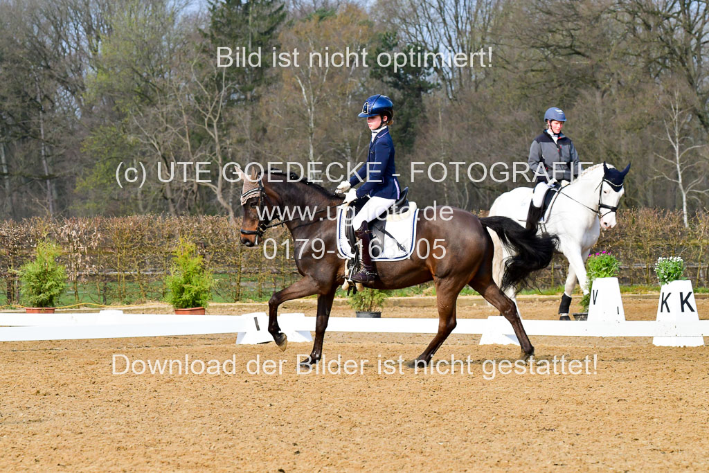 Reitsportzentrum Bremervörde | 170421 Dressurreiter A_502 