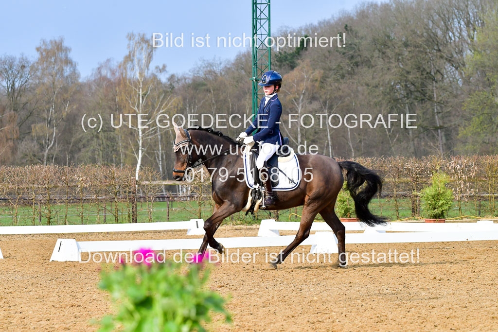 Reitsportzentrum Bremervörde | 170421 Dressurreiter A_504 