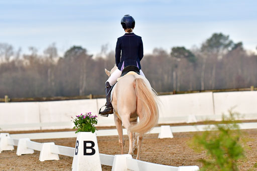 Reitsportzentrum Bremervörde | 170421 Dressurreiter A 