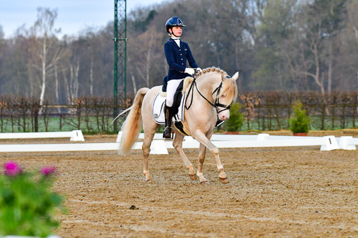 Reitsportzentrum Bremervörde | 170421 Dressurreiter A_004 