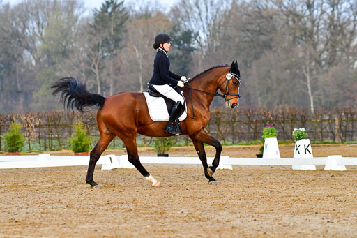 Reitsportzentrum Bremervörde | 170421 Dressurreiter A_009 