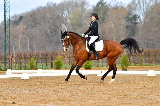 Reitsportzentrum Bremervörde | 170421 Dressurreiter A_018 