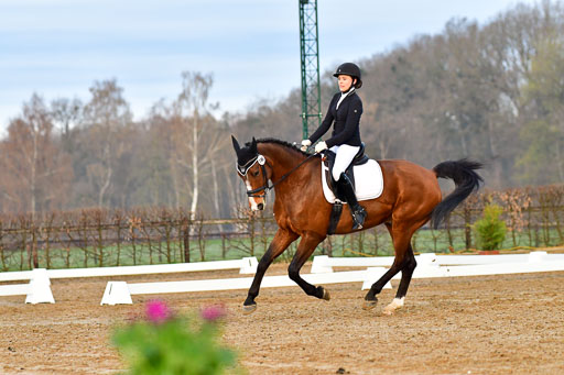 Reitsportzentrum Bremervörde | 170421 Dressurreiter A_019 