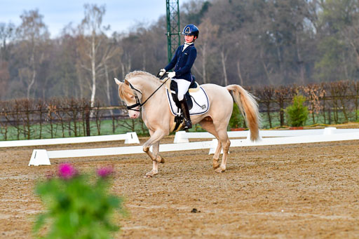 Reitsportzentrum Bremervörde | 170421 Dressurreiter A_025 