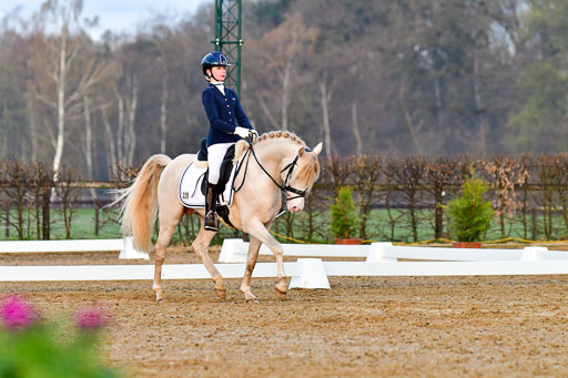 Reitsportzentrum Bremervörde | 170421 Dressurreiter A_028 