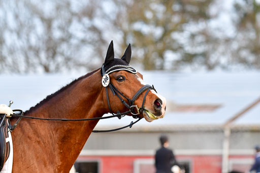 Reitsportzentrum Bremervörde | 170421 Dressurreiter A_031 