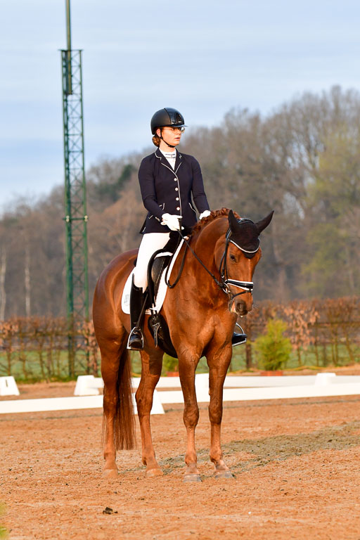 Reitsportzentrum Bremervörde | 170421 Dressurreiter A_037 