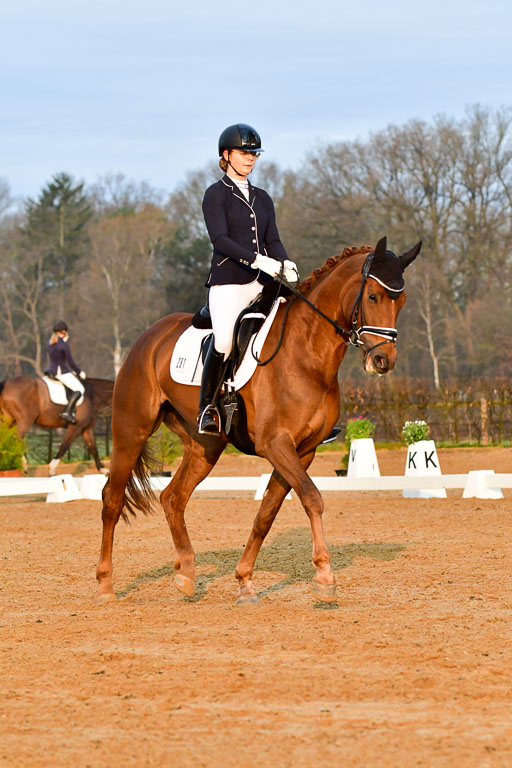 Reitsportzentrum Bremervörde | 170421 Dressurreiter A_038 