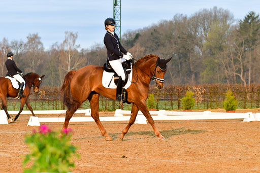 Reitsportzentrum Bremervörde | 170421 Dressurreiter A_039 
