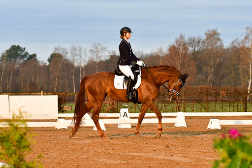 Reitsportzentrum Bremervörde | 170421 Dressurreiter A_040 
