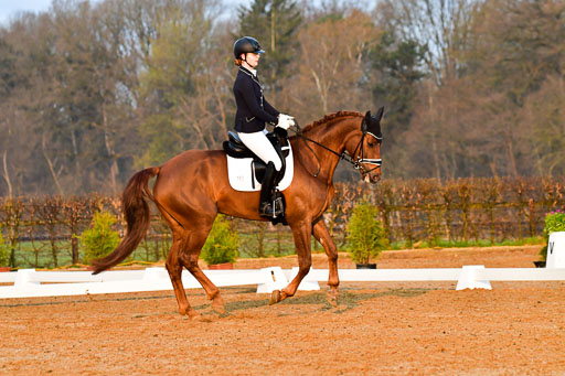 Reitsportzentrum Bremervörde | 170421 Dressurreiter A_041 